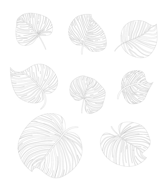 Vector set of silhouettes with tropical leaves on a white background Summer concept Black lines