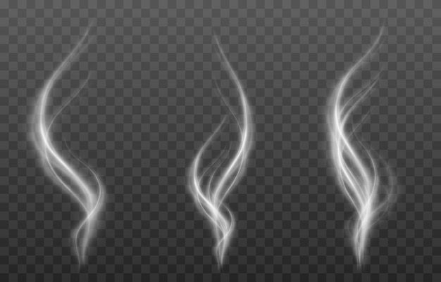 Vector set of smoke on an isolated transparent background. PNG smoke waves, smoke from cigarettes.