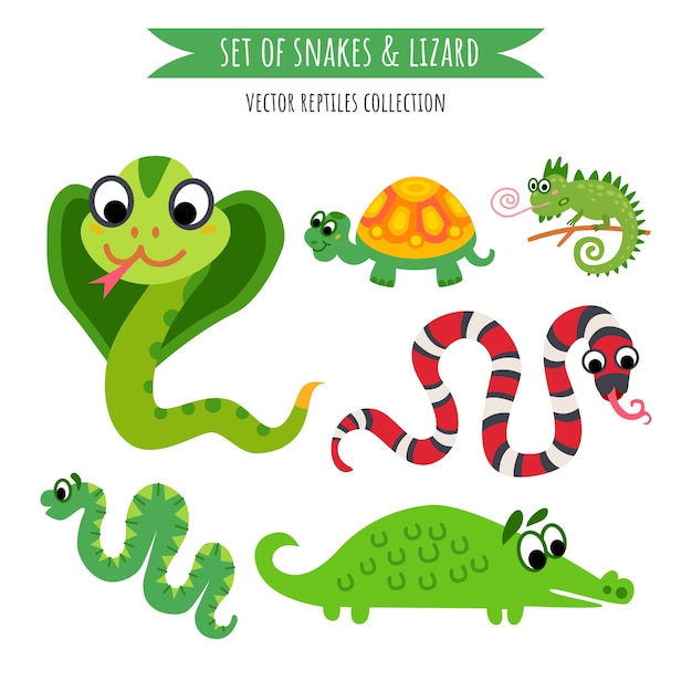 Vector set of snake and lizard isolated on white