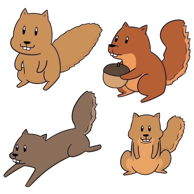 vector set of squirrel