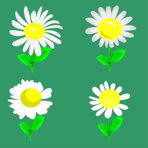 vector set of white flowers on a green background art illustration