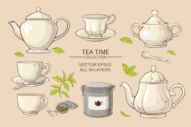 Vector set  with cups,  teapot,  sugar bowl, tin packaging and tea strainer on color background