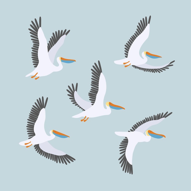 Vector set with flying pelicans on a blue background Graphic print with sea birds