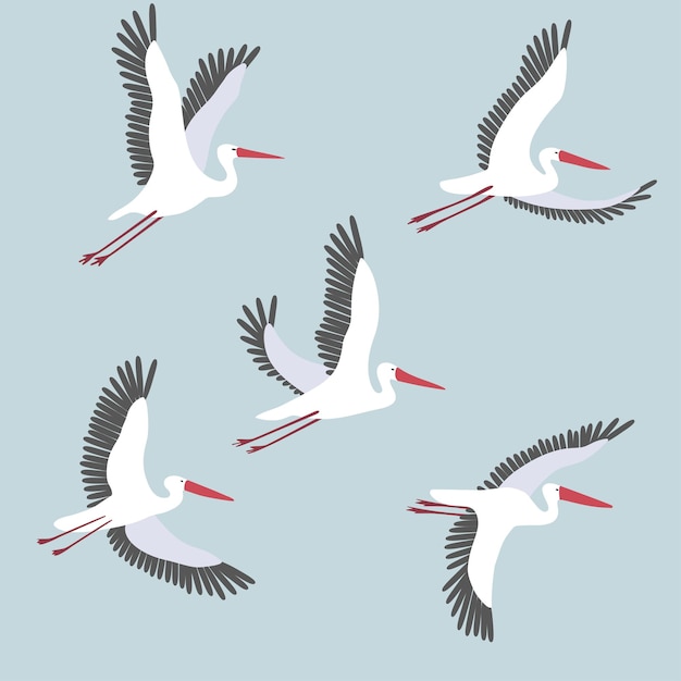 Vector set with white flying cranes on a blue background Graphic print with sea birds