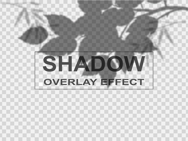 Vector vector shadow overlay effect for branding.background  for you design.