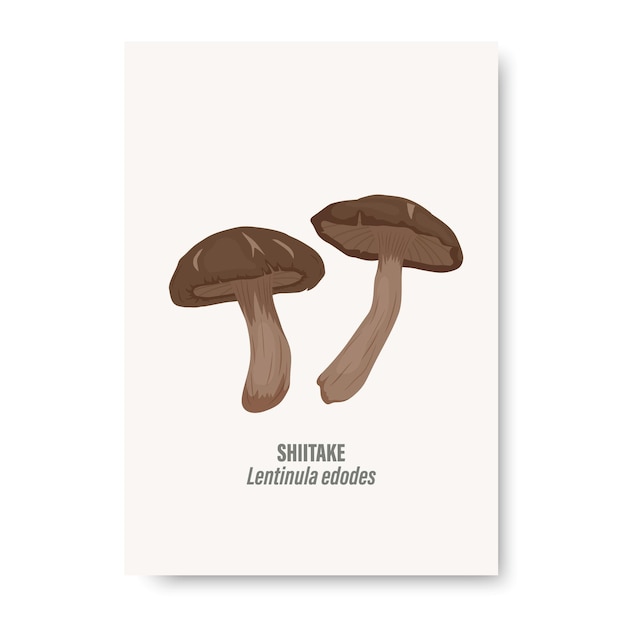 Vector Shiitake Mushroom Isolated on White Card with Hand Drawn Cartoon Shiitake Mushrooms Design Template Clipart Lentinula Edodes Mushroom Set