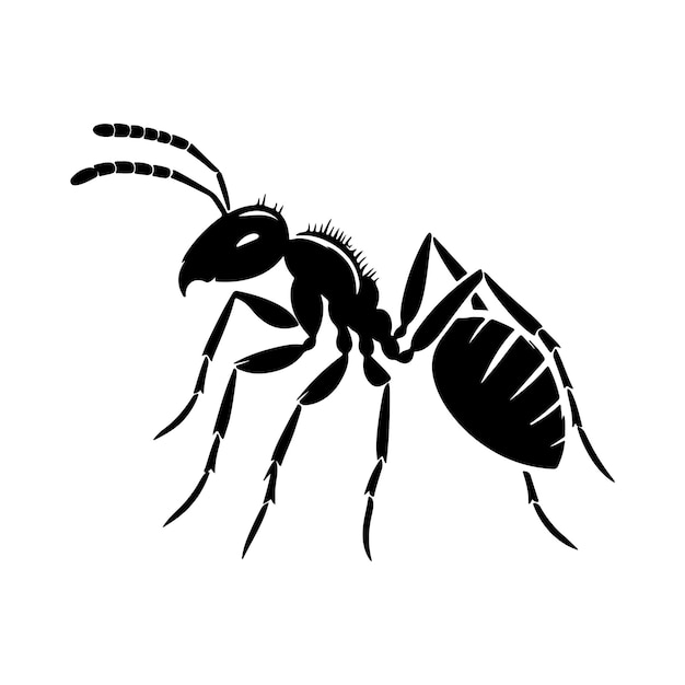 vector silhouette black ant on a white background