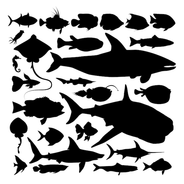 Vector vector silhouette collection of fish