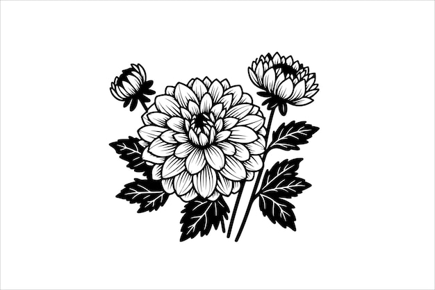 Vector silhouette of a Dahlia flower