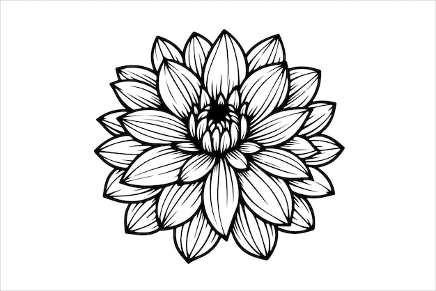 Vector silhouette of a Dahlia flower