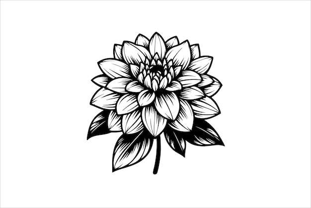 Vector silhouette of a Dahlia flower