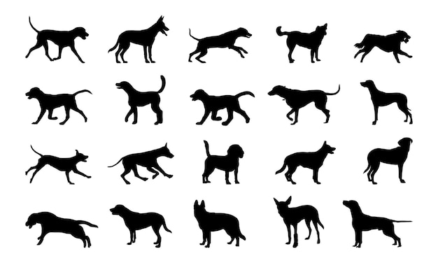 Vector silhouette of a dog on white background