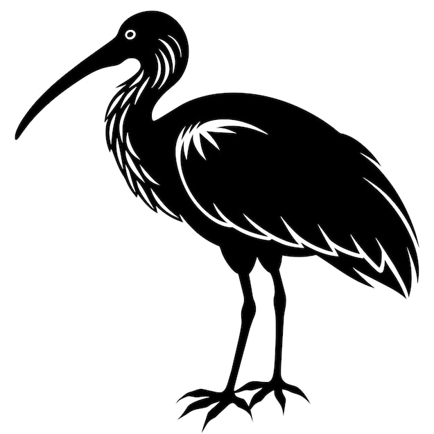 Vector of a silhouette of a ibis on a white background