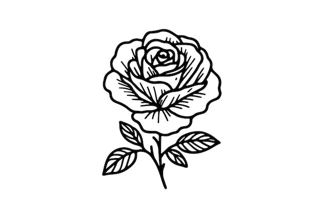 Vector silhouette of a Rose flower