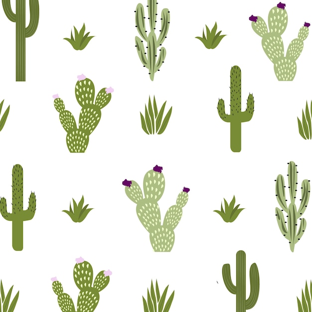 Vector simple simple drawing with cactuses on a white background Perfect for wallpaper gift paper