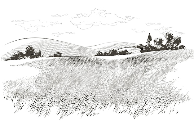 Vector sketch Green grass field on small hills. Meadow, alkali, lye, grassland, pommel, lea, pasturage, farm. Rural scenery landscape panorama of countryside pastures. illustration