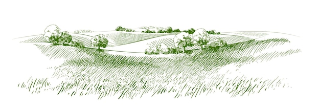 Vector sketch Green grass field on small hills Meadow alkali lye grassland pommel lea pasturage farm Rural scenery landscape panorama of countryside pastures illustration