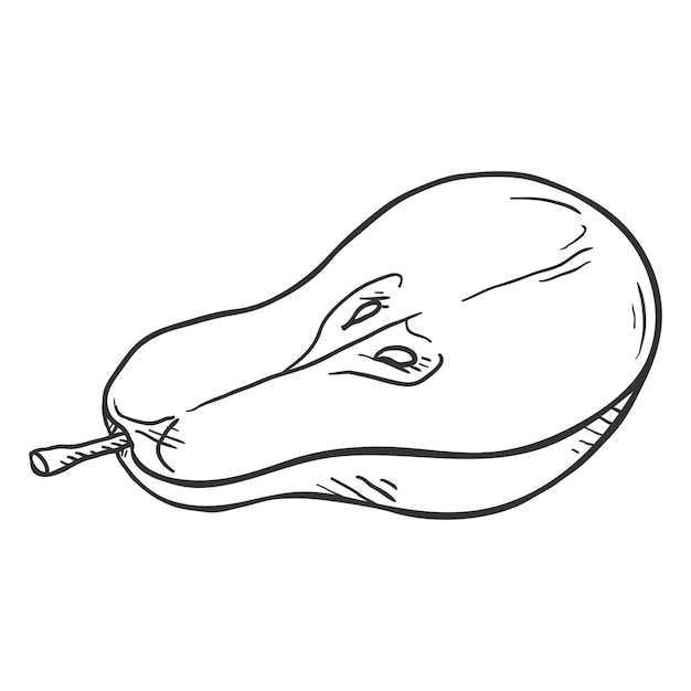 Vector Sketch Half of Pear