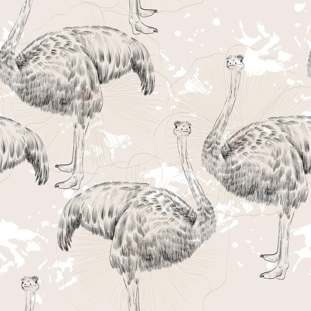 Vector vector sketch ostrich