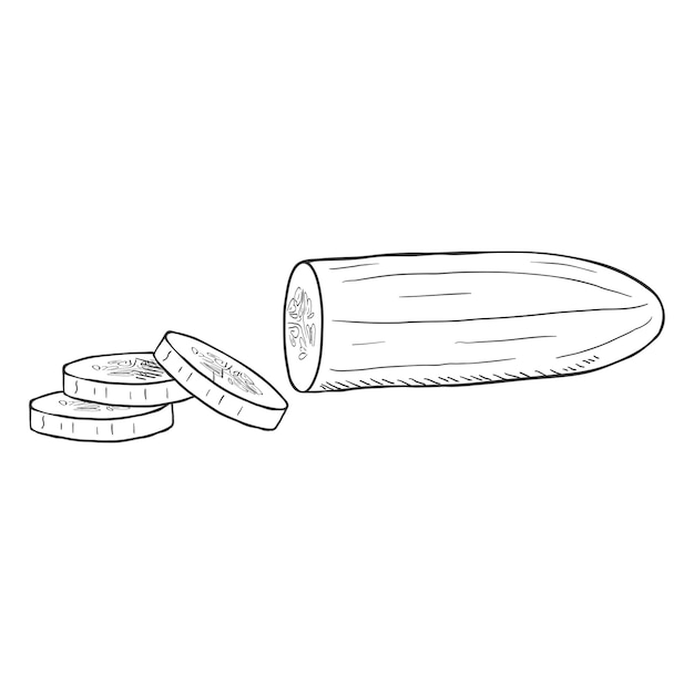 Vector Sketch Sliced Cucumber