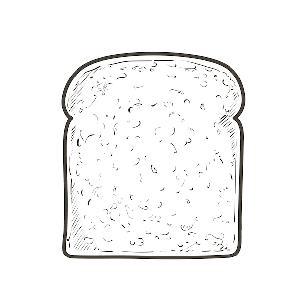 Vector Sliced bread toast. Slice of a whole wheat bread. Bakery, piece of roasted crouton for sandwich snack. Realistic illustration image.