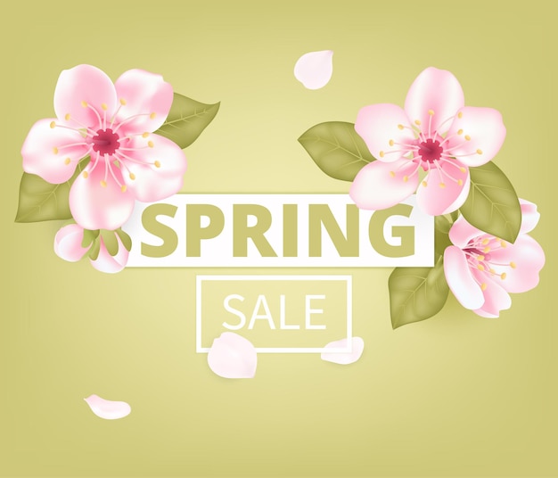 Vector Spring sale banner template with flowers blossom. Cherry pink flower, spring blooming sakura