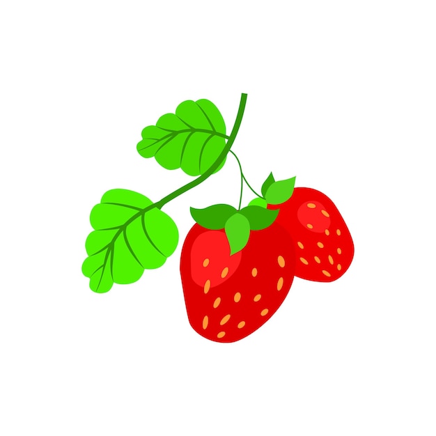 Vector strawberry branch on white background