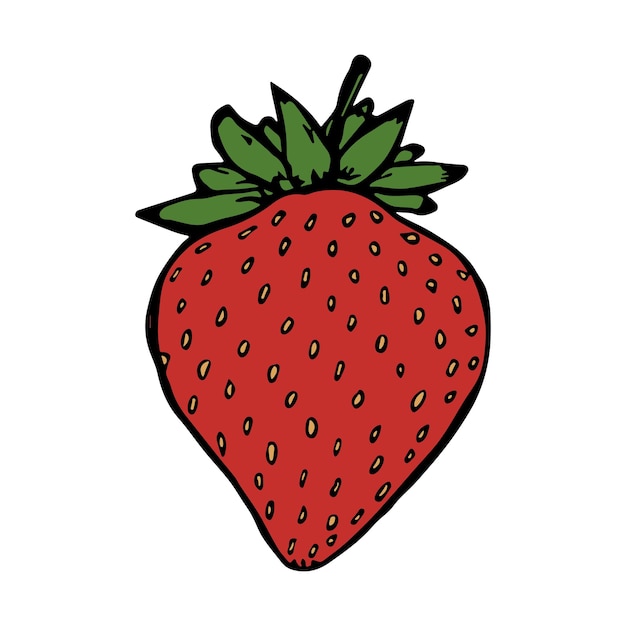 Vector strawberry clipart Hand drawn berry icon Fruit illustration For print web design decor