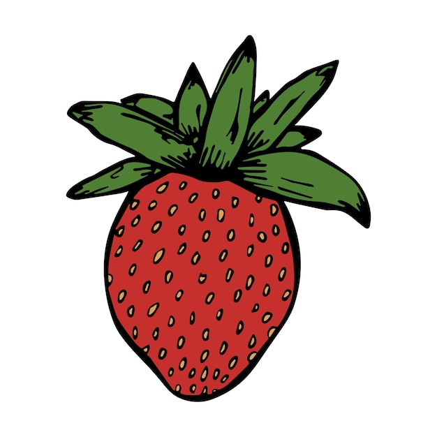 Vector strawberry clipart Hand drawn berry icon Fruit illustration For print web design decor