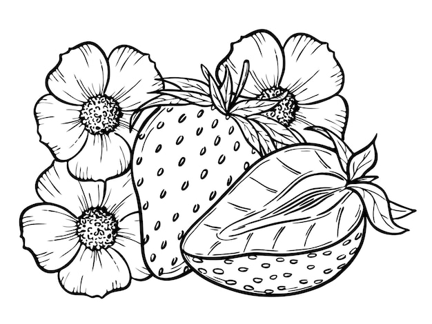 Vector strawberry line art illustration composition with berries and flowers hand drawn botanical