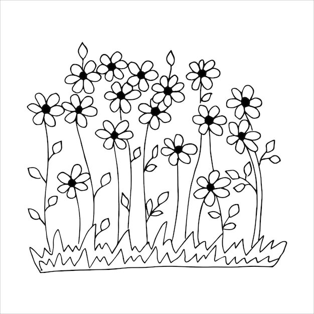 Vector in the style of a flower drawing or sketch coloring with black and white flowers postcard