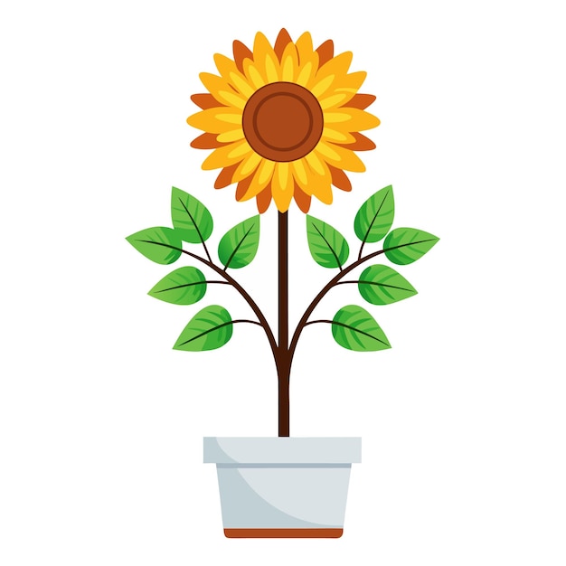 Vector sunflower cartoon in a pot