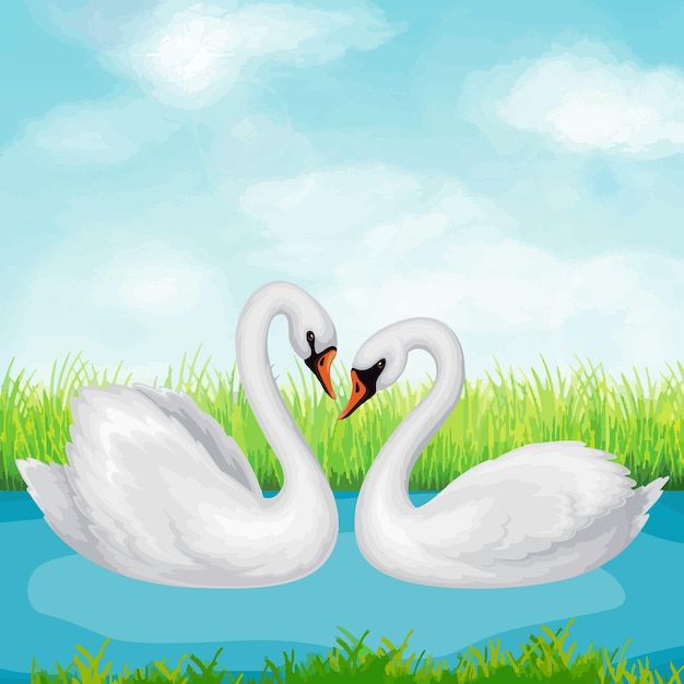 vector swans rivers sky and grass