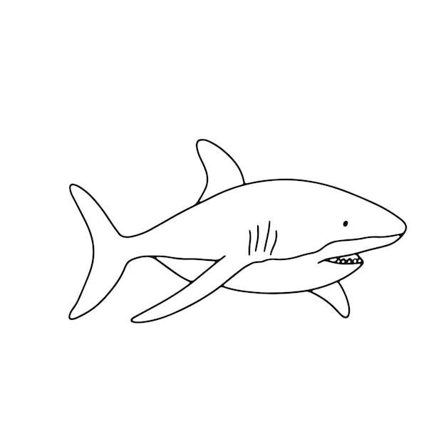 Vector swimming shark isolated on white background Hand drawn outline doodle illustration ocean or underwater animal