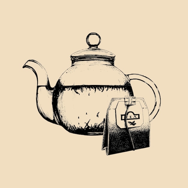 Vector vector tea set illustration hand drawn sketch of transparent glass kettle with teabag for cafe restaurant drink menu