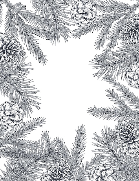 Vector template for Christmas greeting card or invitation with hand drawn winter plants spruce branches pine cones