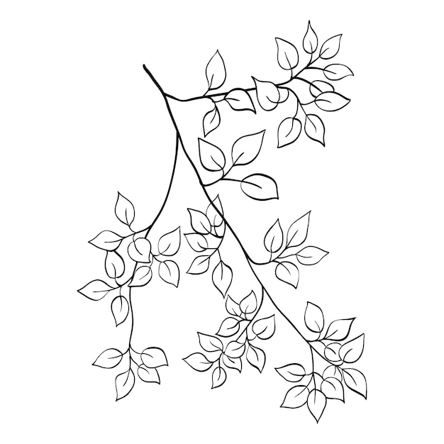 Vector vector tree branch line floral hand drawn sketch