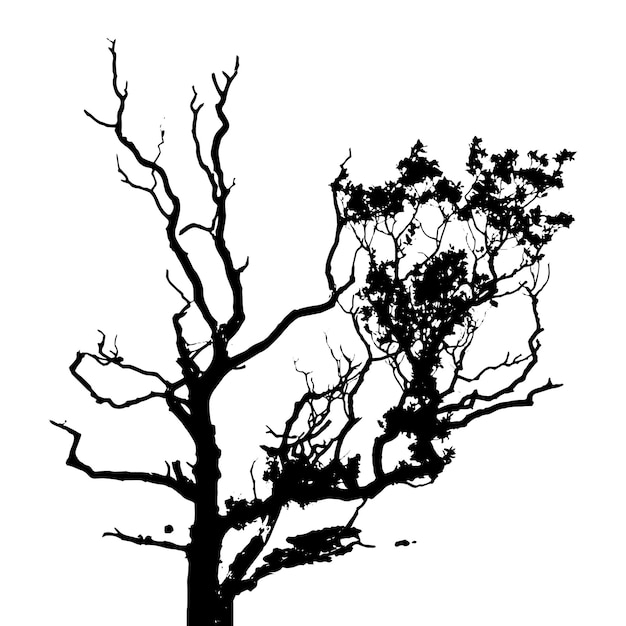 vector tree silhouettes Black and White illustration