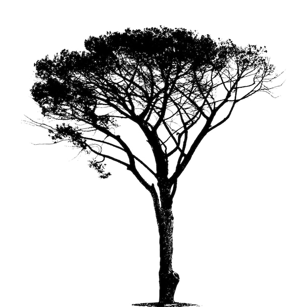 vector tree silhouettes Black and White illustration