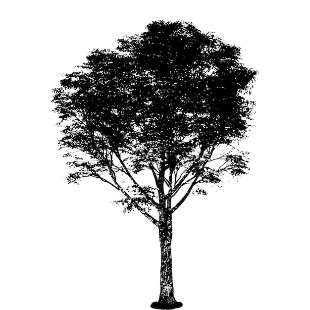 vector tree silhouettes Black and White illustration