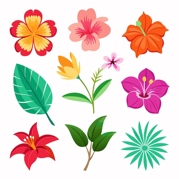 Vector vector tropical flowers