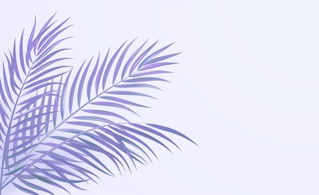 Vector tropical palm leaves corner design color background very pery purple color