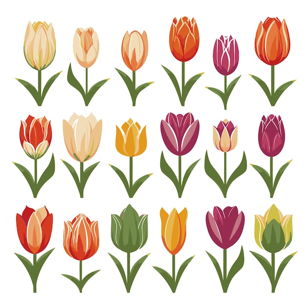 Vector tulip flower collection set