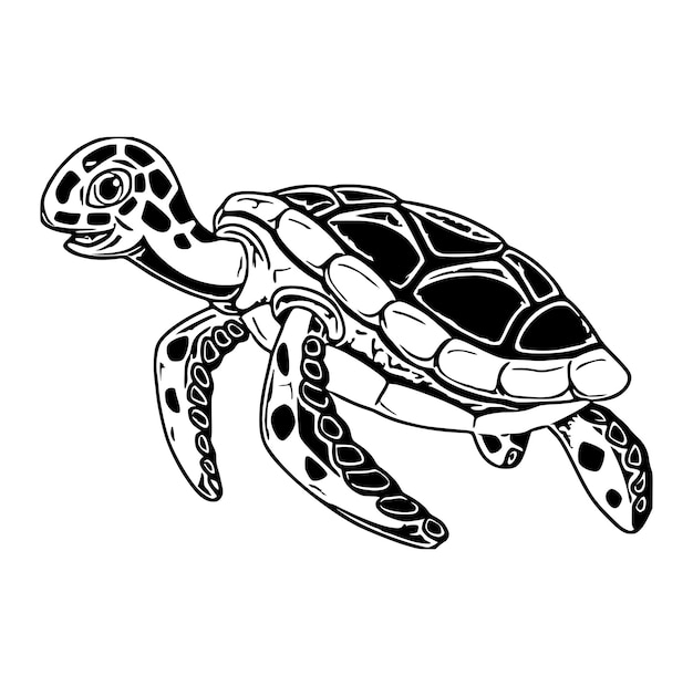 Vector of turtle design on a white background wild animals underwater animal turtle icon or logo