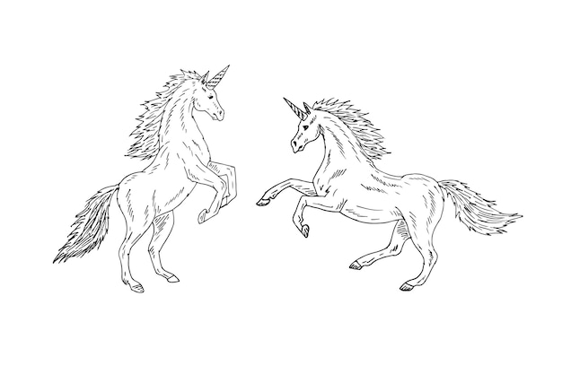 Vector two hand drawn unicorns isolated on white background