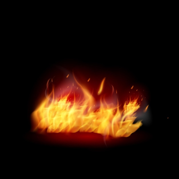 vector vector realistic burning fire flames with smoke