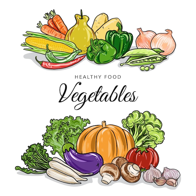 Vector vegetable composition template