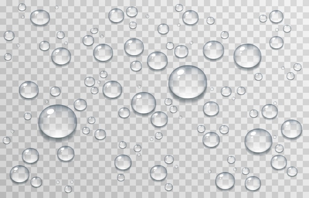 Vector water drops PNG drops condensation on the window on the surface Realistic drops on an isolated transparent background