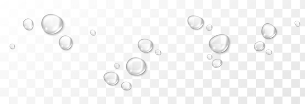 Vector vector water drops png drops condensation on the window on the surface realistic drops png