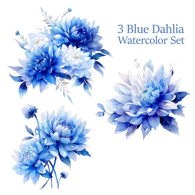 Vector Watercolor Blue Dahlia Floral Clipart Set